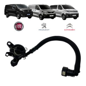 Sensor Pressão Combustível Expert / Scudo / Jumpy 2018 A 2024 81CP3801